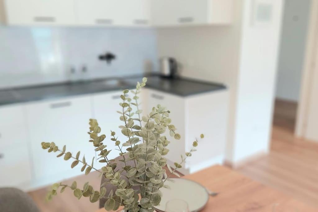 Renovated Flat Close To The Centre Merano Ngoại thất bức ảnh
